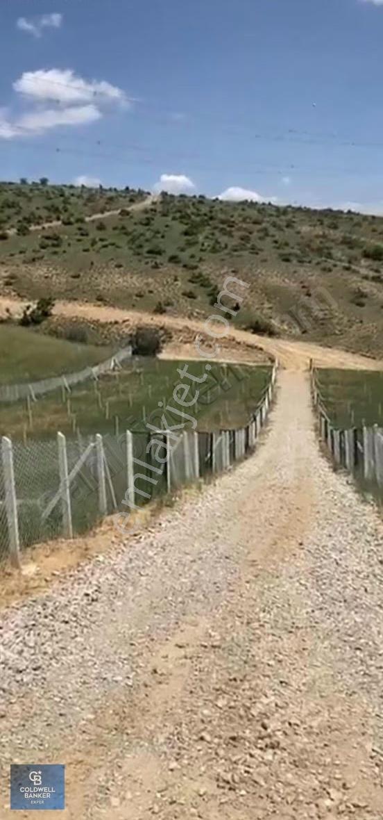 BAĞLUM ÇALSEKİ BOTANİKA BAHÇELERİ - Görünüm 2