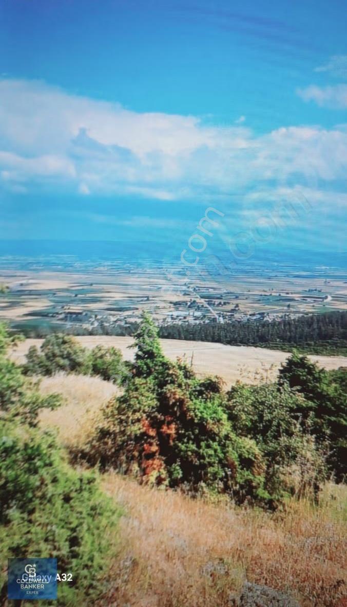 Bursa İznik Gölü Manzaralı Tek Tapu 40.000 M2 Arsa - Görsel 3