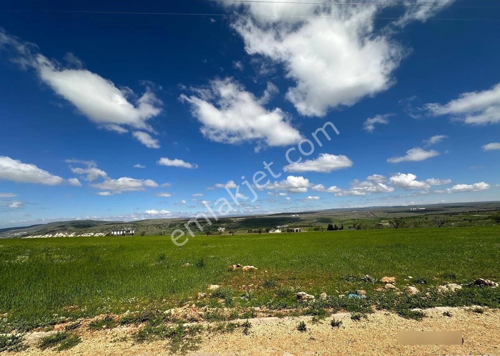 Uyaran 79 Gayrimenkulden Polateli Güldüzü Satılık 1406,91 M2arsa - Görsel 2
