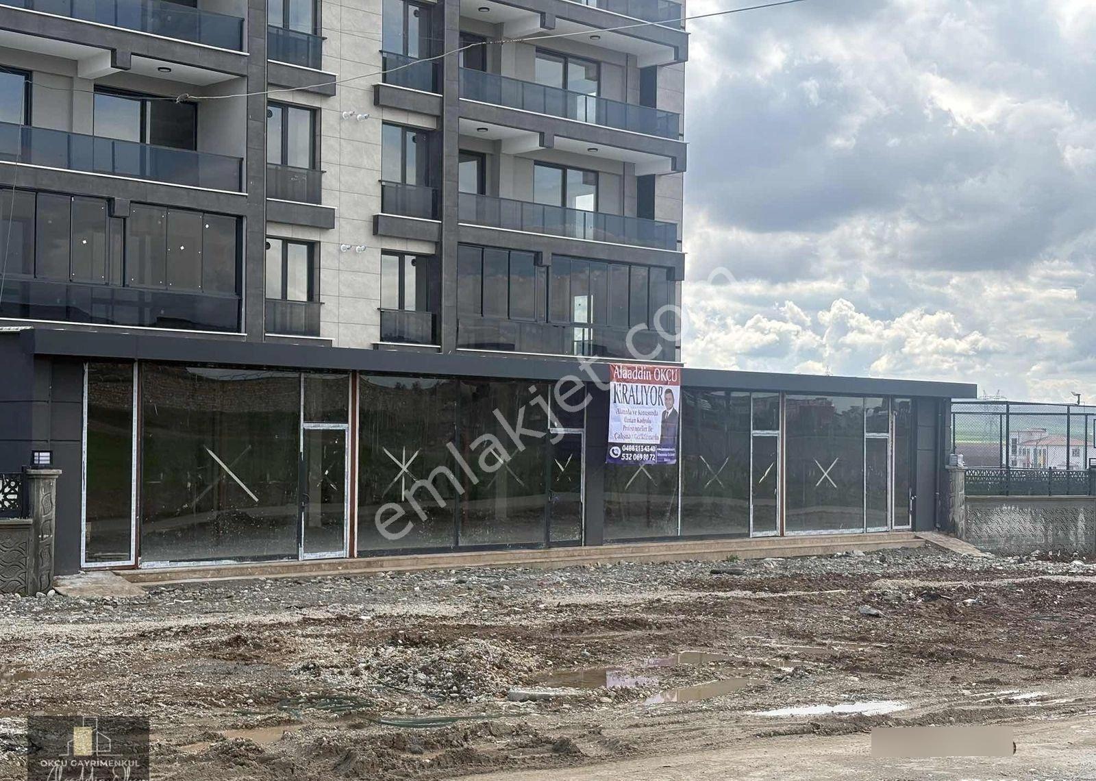Alaaddin Okçu K İ R A L I Y O R Akçada 460 Metrekare Dükkan - Görsel 8