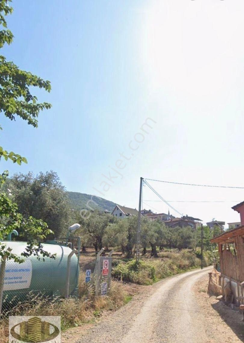 Hecelerde 2651 M² Satılık Arsa - Görsel 7