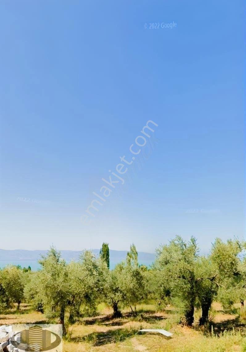 Hecelerde 2651 M² Satılık Arsa - Görsel 8