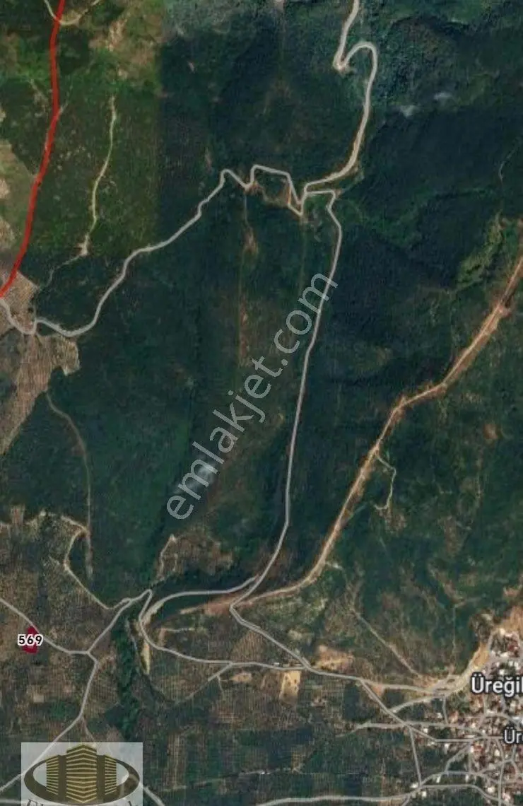 Orhangazide Yatırımlık Değerli 1428 M² Zeytinlik - Görsel 5