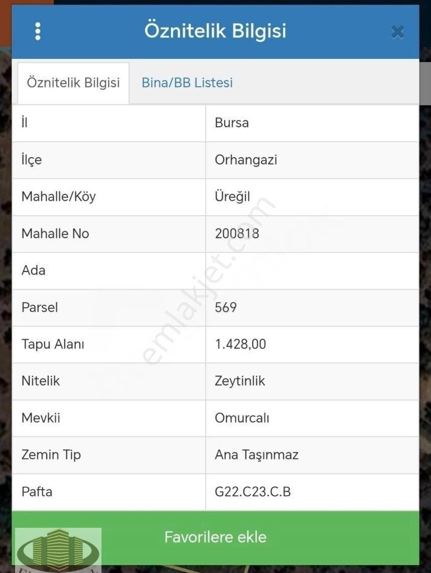 Orhangazide Yatırımlık Değerli 1428 M² Zeytinlik - Görsel 7