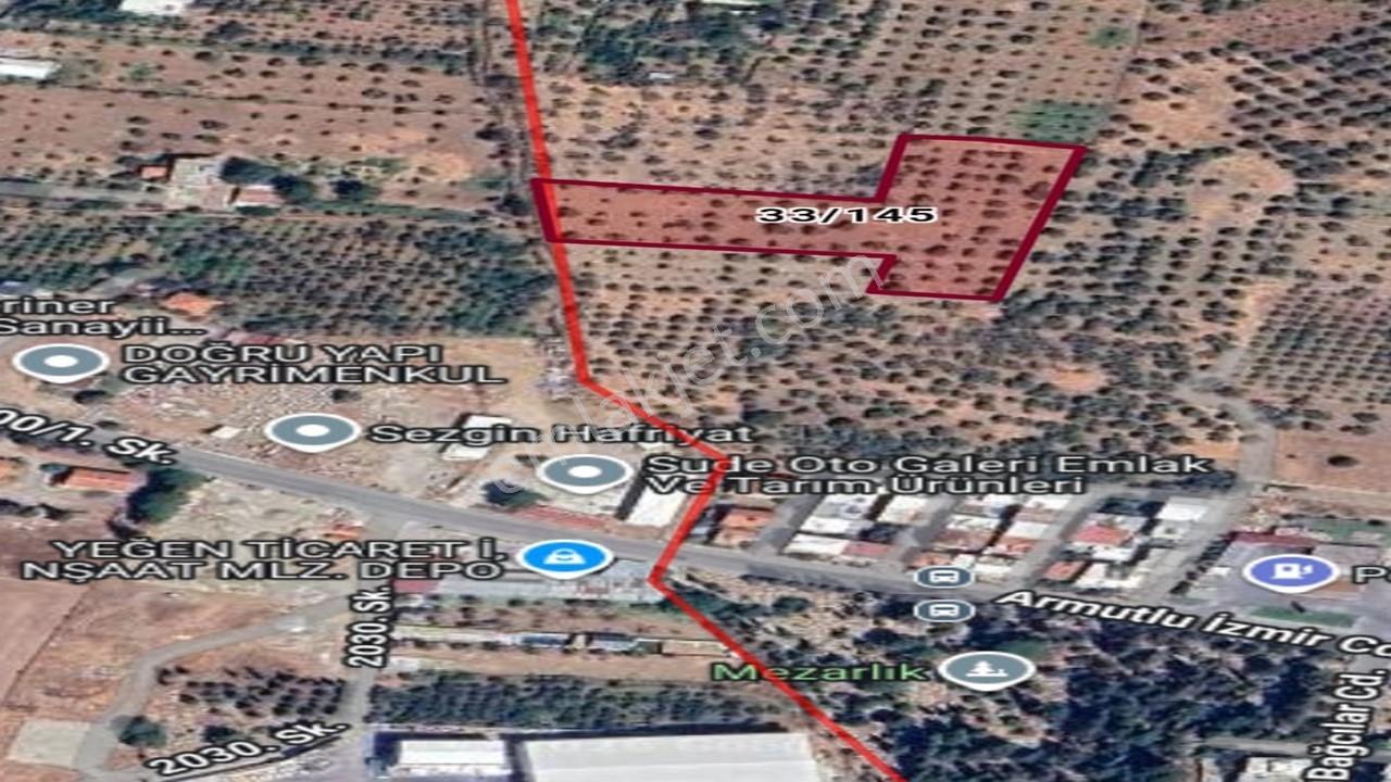 6.443 M² Müstakil Satılık Zeytinlik | Yerleşim Alanına Yakın - Görsel 6