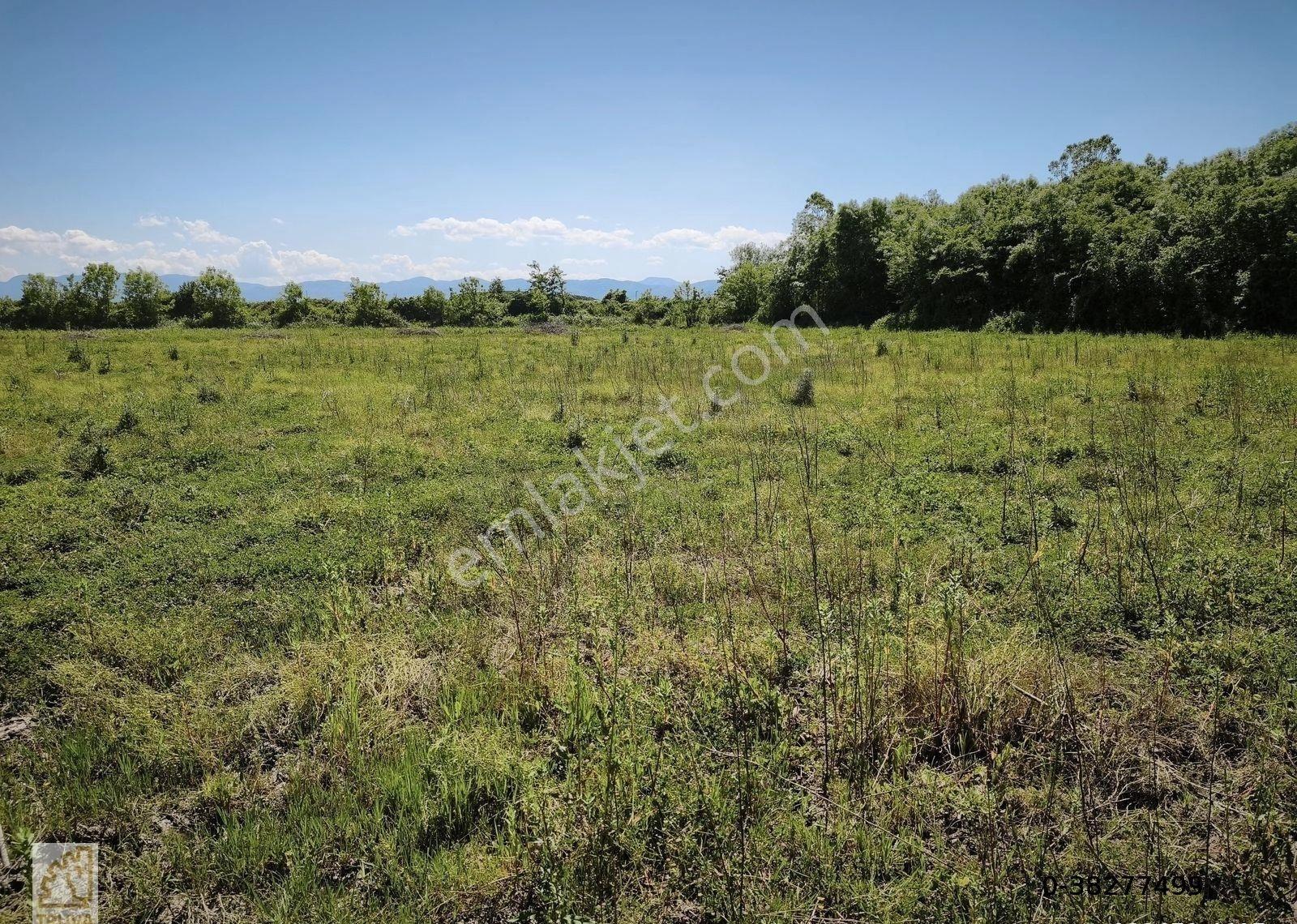 Truva/isa Kılıç'tan Çarşamba Yeşilova Satılık 13478 M2 Tarla - Görsel 3