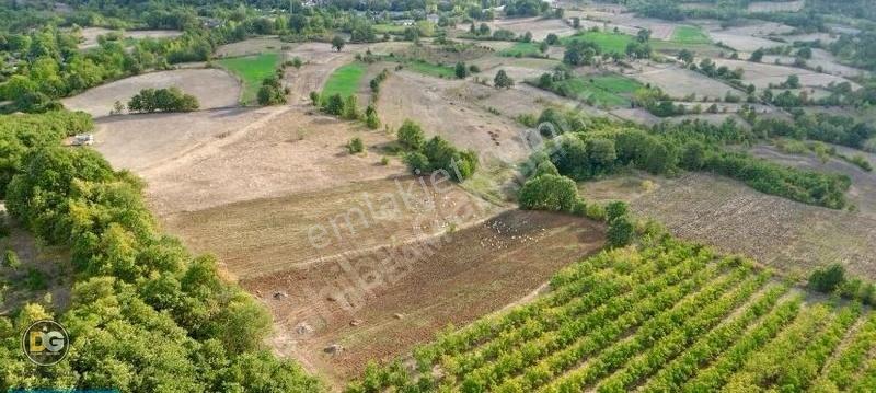 Bursa İnegöl 7,5 Dönüm Düz, Yola Cephe, Elektrik Yanında Tarla