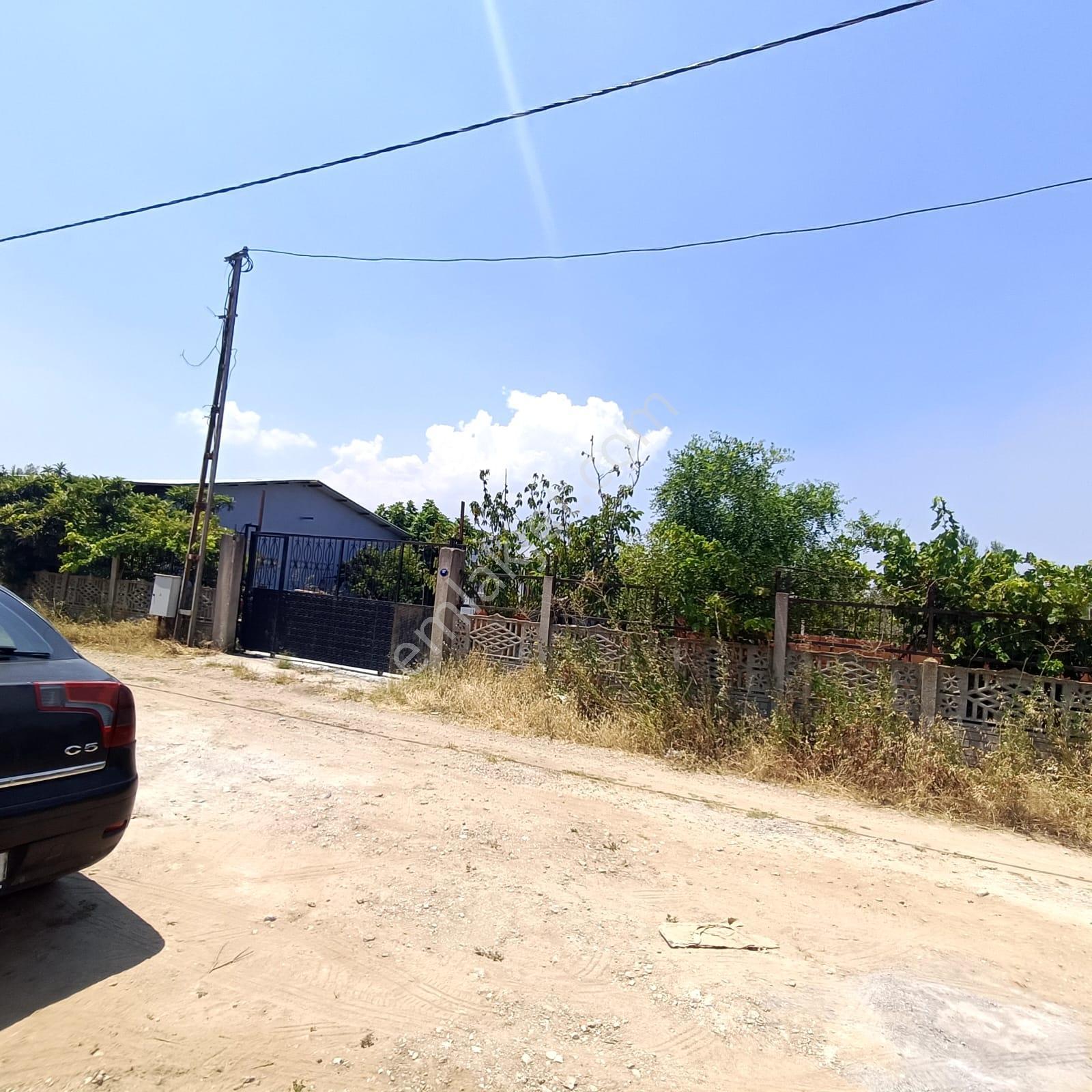 İzmir Kemalpaşa Armutlu'da 5.155 M² Müstakil Zeytinlik - Görsel 13