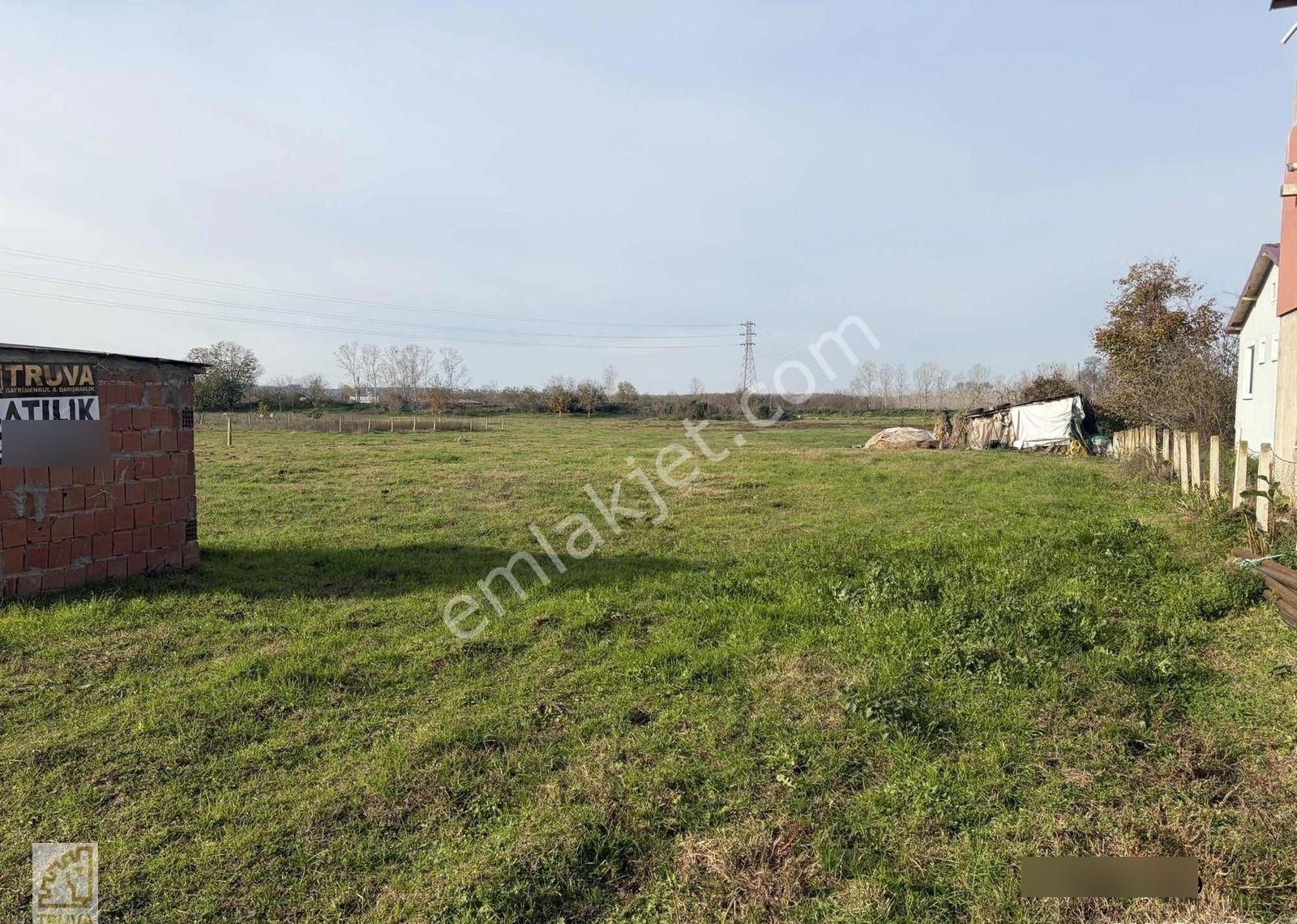 Truva//uğur Gök;19 Mayıs Dereköy De Bulvara Cephe İkiz Arsa - Görsel 7