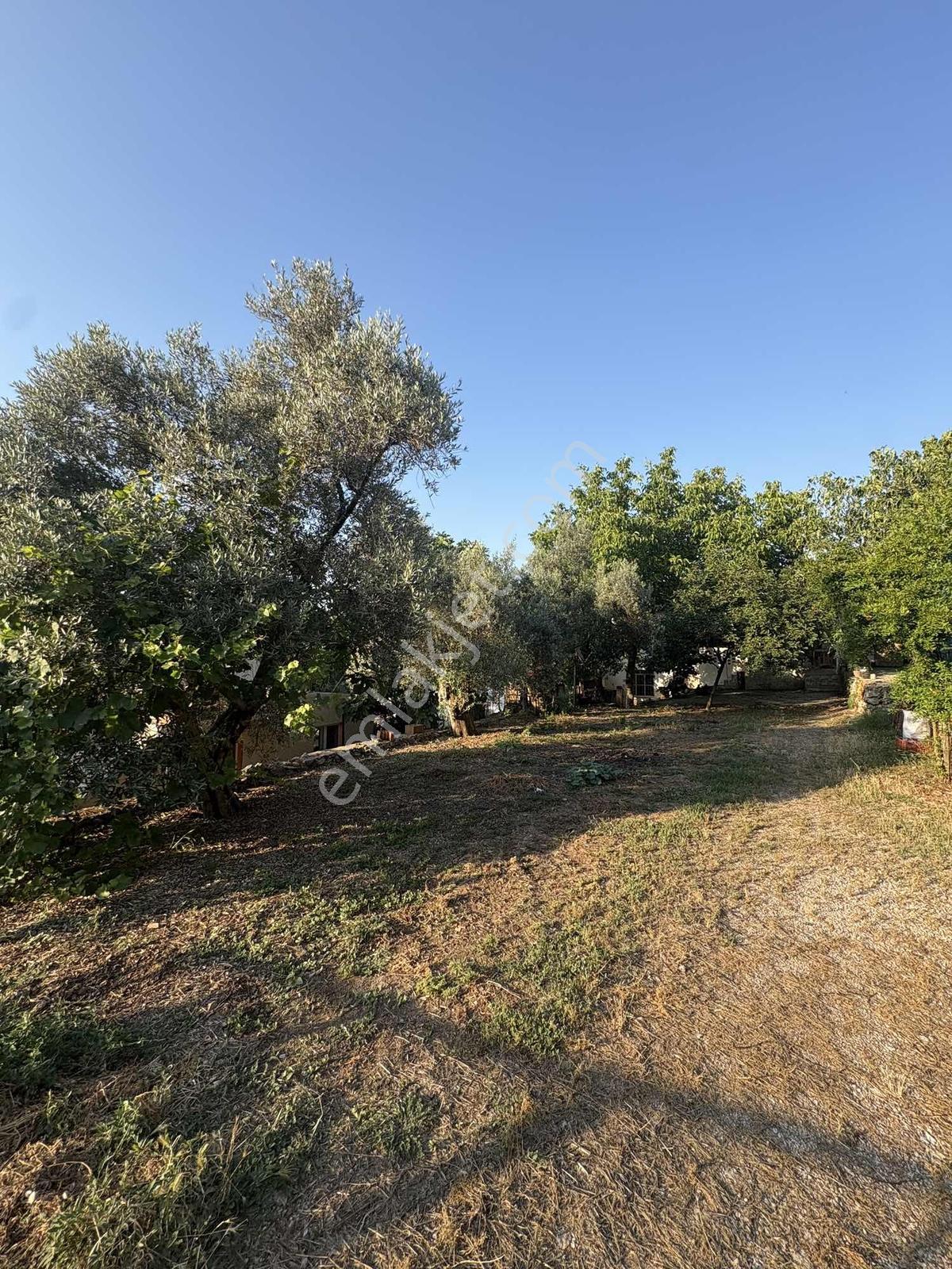 Muğla Menteşe Yeşilyurt Mah. Satılık İmarlı Arsa Ve Taş Ev - Görsel 22