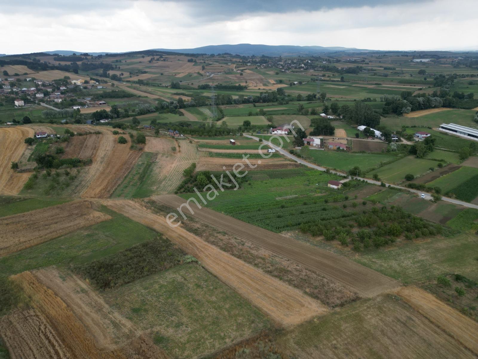 Salmanlıda Asfalt Yakını Yatırımlık 959 M2 Satılık Tarla - Görsel 9
