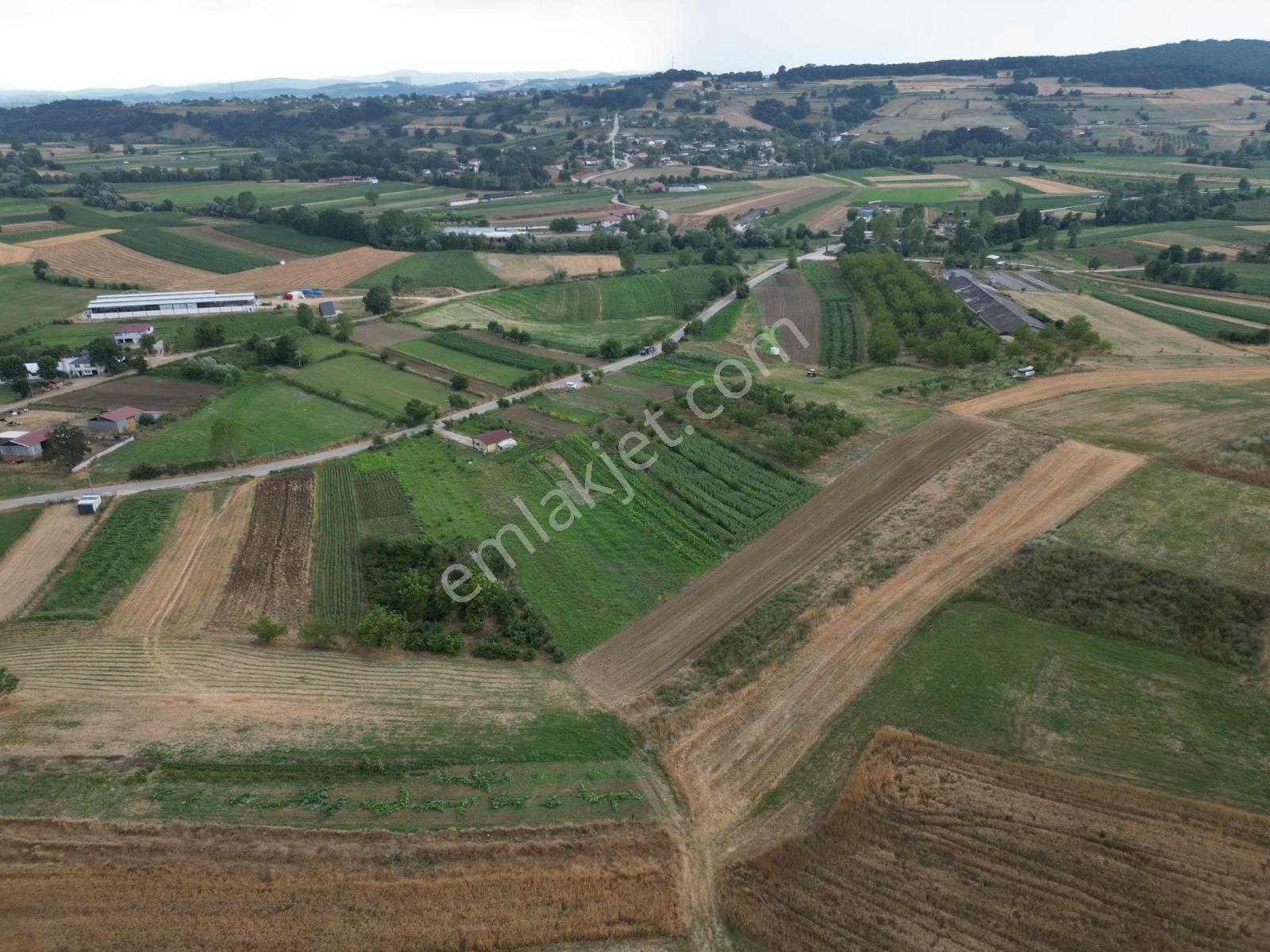 Salmanlıda Asfalt Yakını Yatırımlık 959 M2 Satılık Tarla - Görsel 5