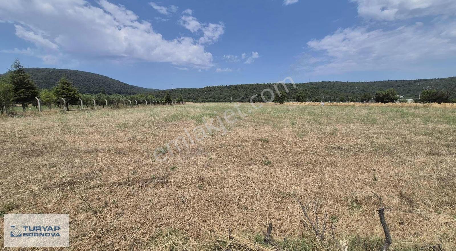Torbalı Arslanda Kira Getirili Satılık 14600m² Yatırımlık Tarla