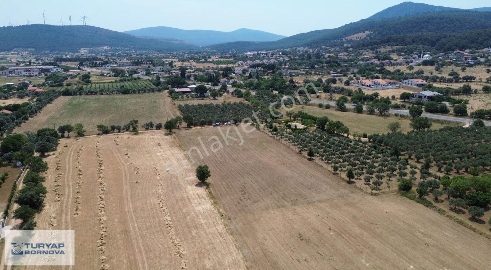 Urla Uzunkuyu'da Anayola 180 M. Mesafede Satılık 6.082 M2 Tarla - Görsel 2