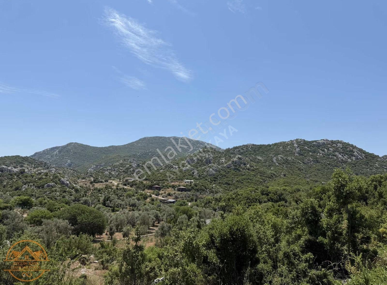 Marmaris Selimiye Kızılköy Mevkide Satılık 5.190 M2 Tarla - Görsel 10
