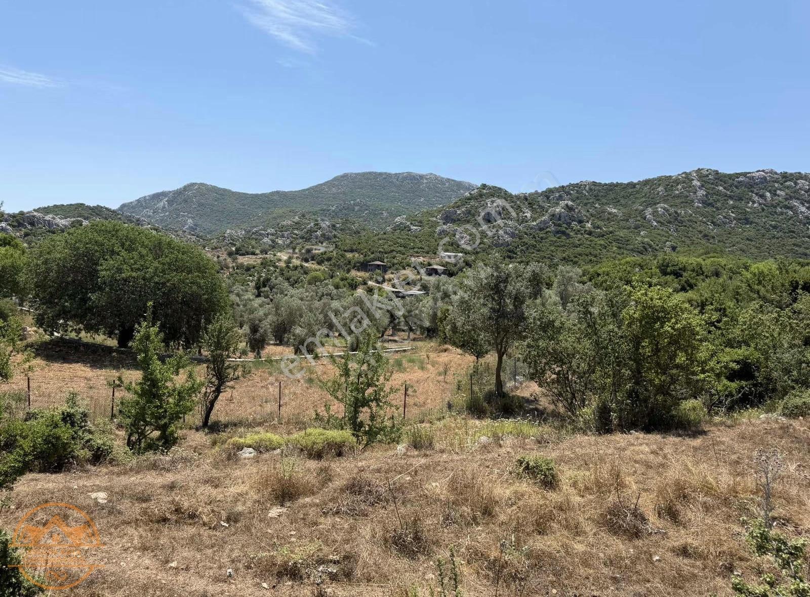 Marmaris Selimiye Kızılköy Mevkide Satılık 5.190 M2 Tarla - Görsel 4