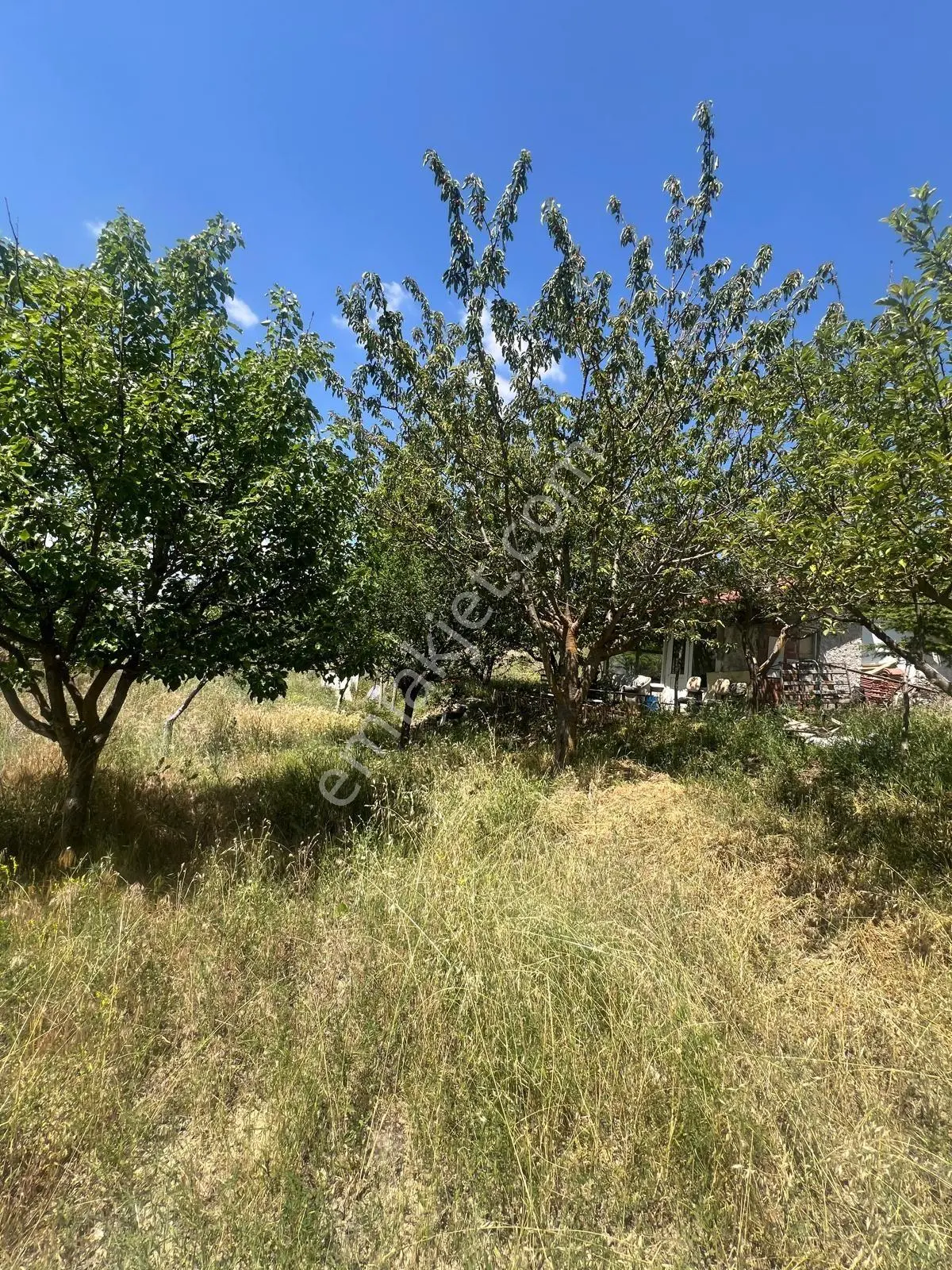 Arkadaş Emlaktan Kavacık Köyünde 8 Dönüm Satılık Tarla - Görsel 32