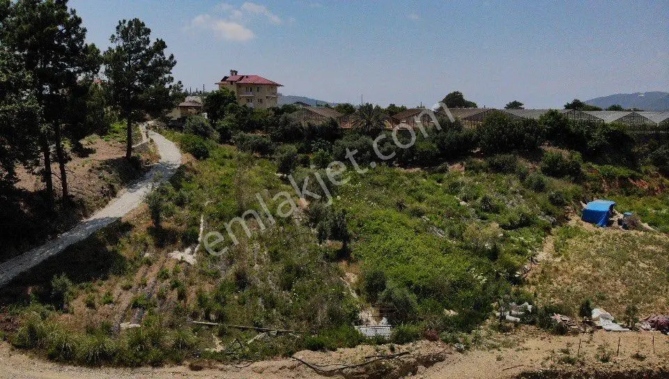 Bryobası Mahallesi Fırsat 2.800 M2 Tarla - Görsel 3