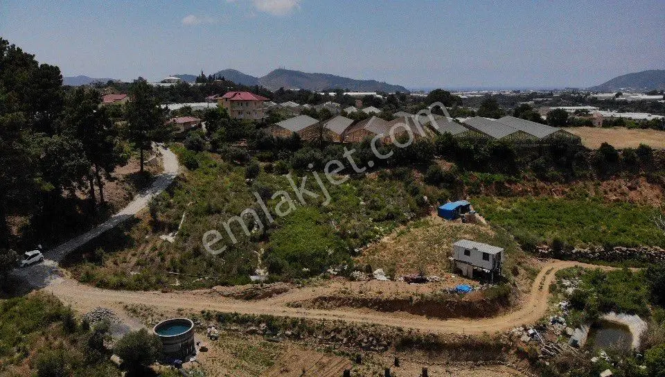 Bryobası Mahallesi Fırsat 2.800 M2 Tarla - Görsel 5