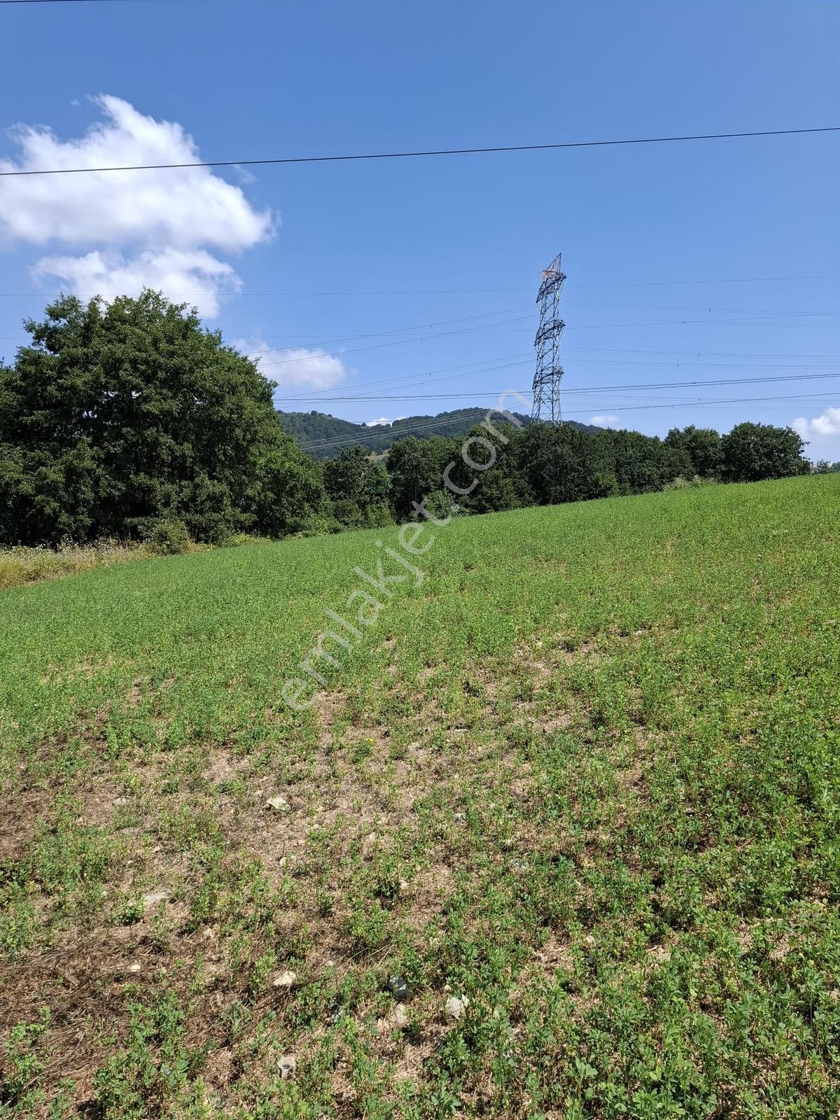 Serdivan Esentepe'de Sapanca Gölü Manzaralı 750 M² Satılık Arsa - Görsel 16