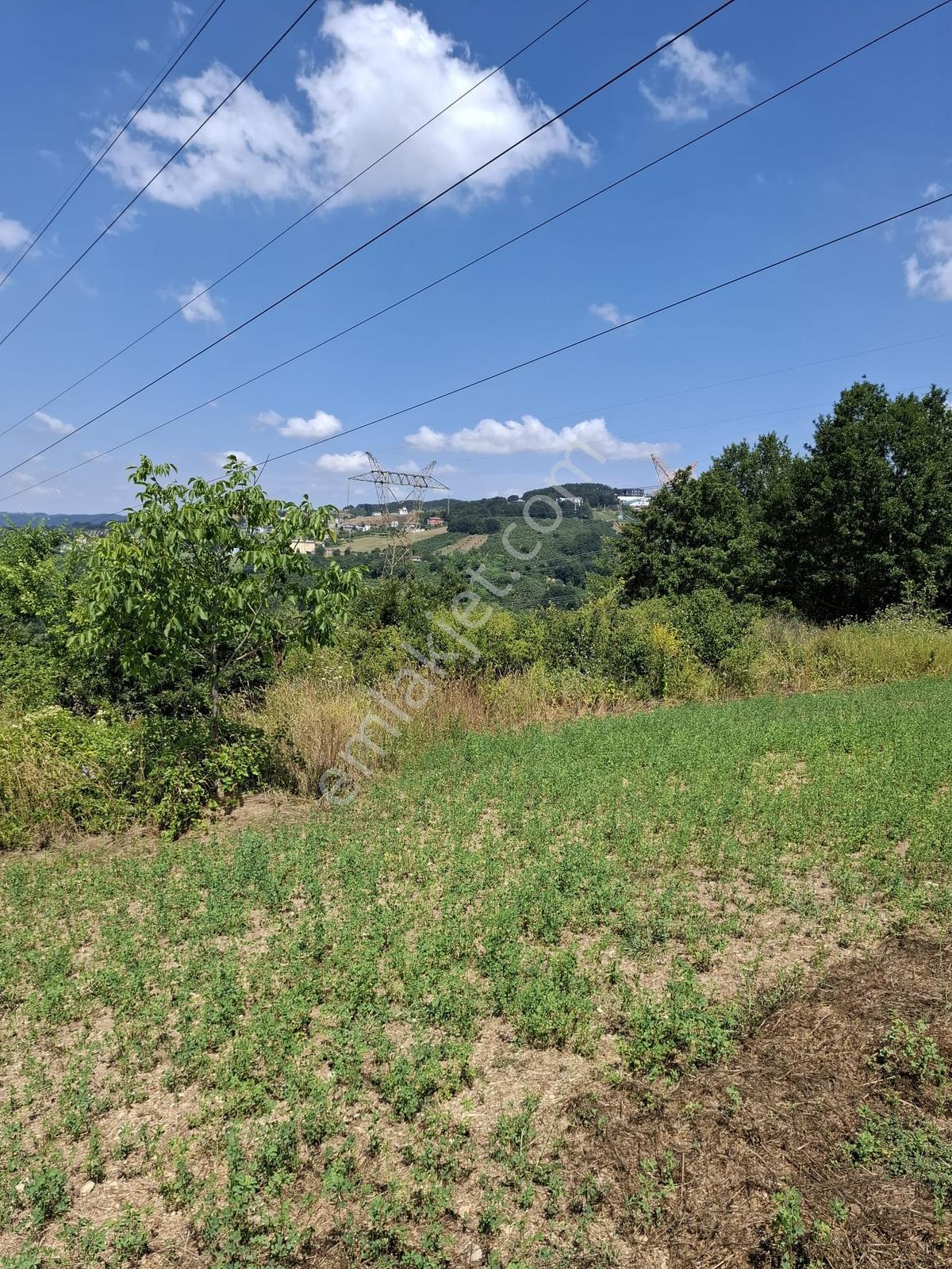 Serdivan Esentepe'de Sapanca Gölü Manzaralı 750 M² Satılık Arsa - Görsel 25