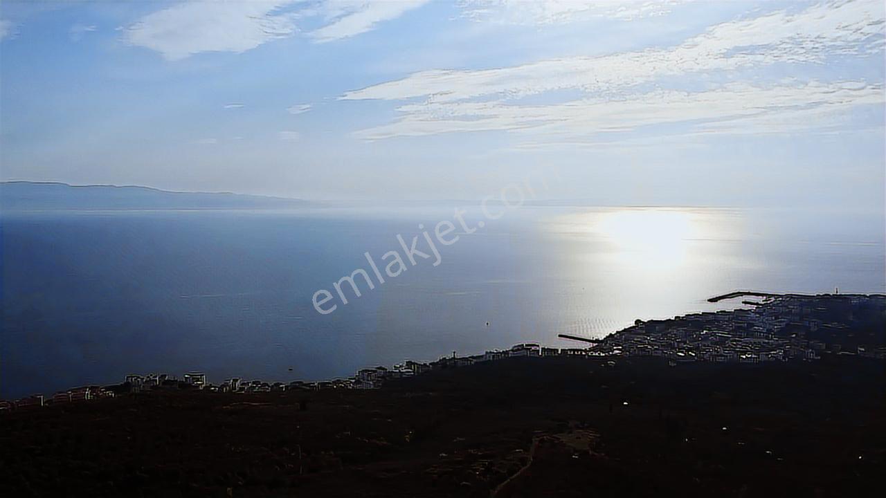 Ay Emlak'tan Deniz Manzaralı Yolu & Suyu Olan 6.320 M2 Zeytinlik - Görsel 17