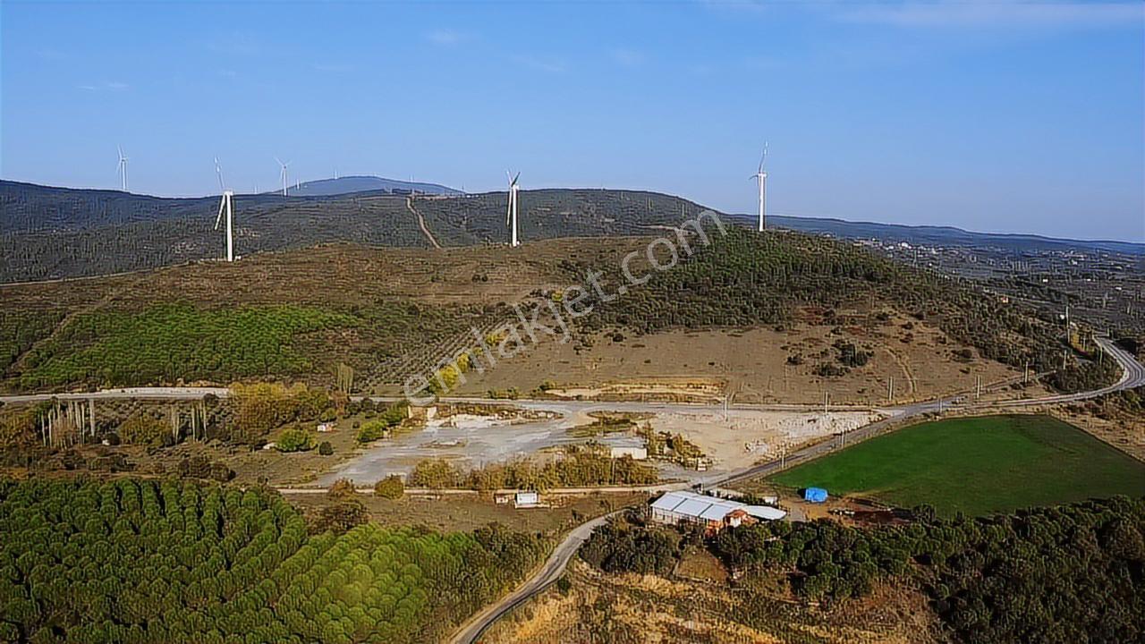 Ay Emlak'tan Deniz Manzaralı Yolu & Suyu Olan 6.320 M2 Zeytinlik - Görsel 22