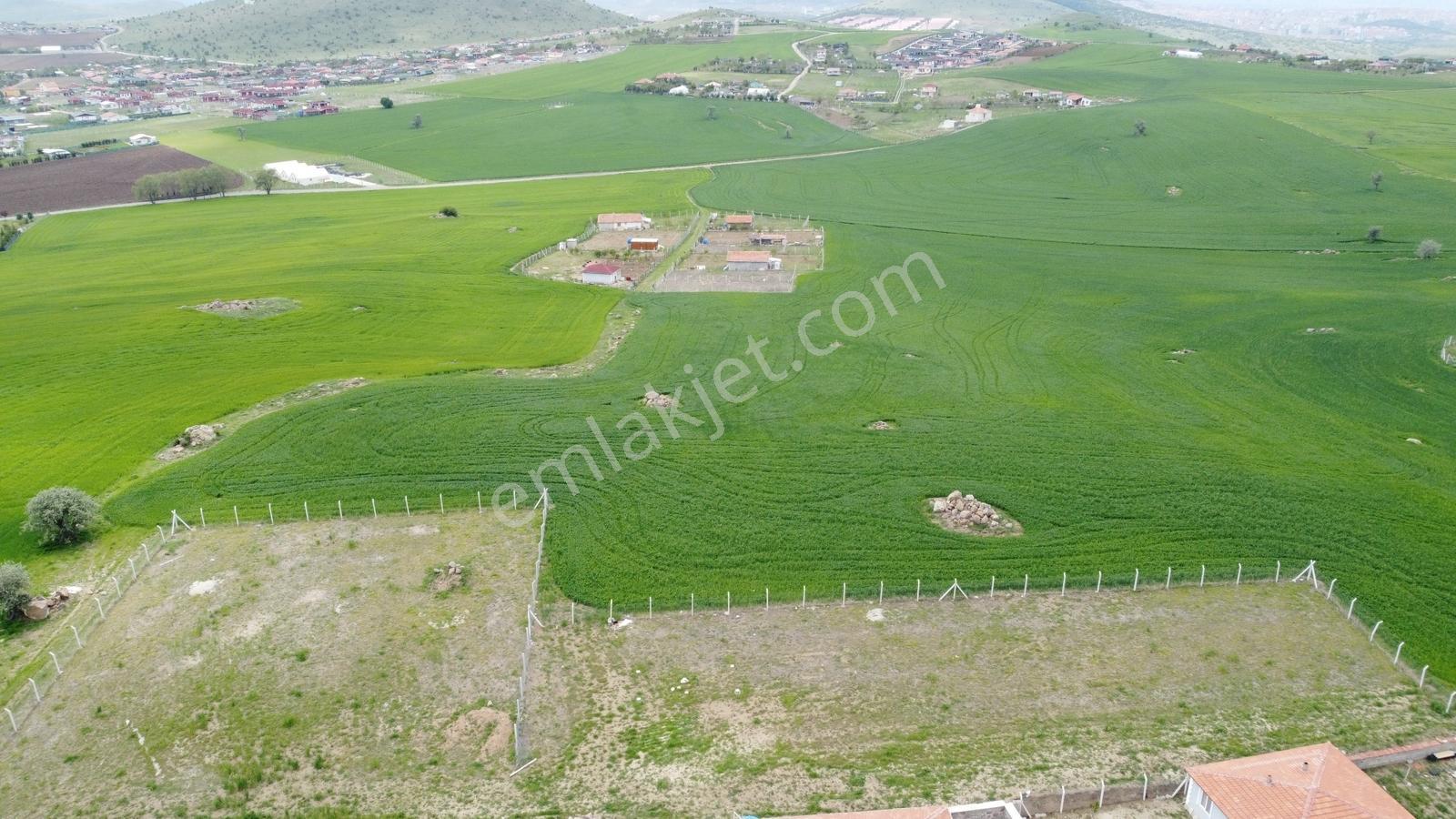 **tatlar Sakızagacın Da Bahçelerin İçerisinde 5.700 Metre-*- - Görsel 35