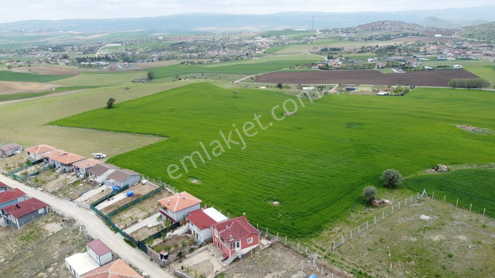 **tatlar Sakızagacın Da Bahçelerin İçerisinde 5.700 Metre-*- - Görsel 8