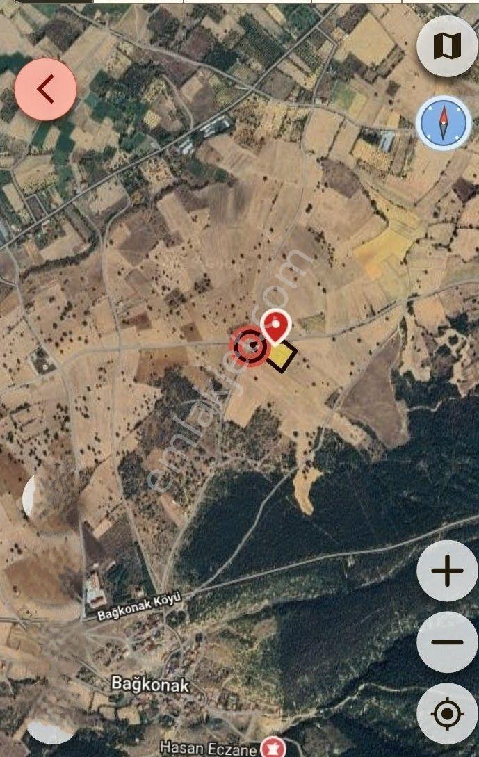 Yatırı İçin Banaz Bağkonak Ta Satılık Ceviz Bahçesi - Görsel 3