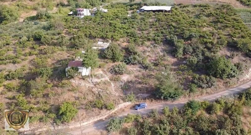Brn Emlak'tan Ayvagediği'nde 3600m² Satılık Şeftali Bahçesi - Görsel 7