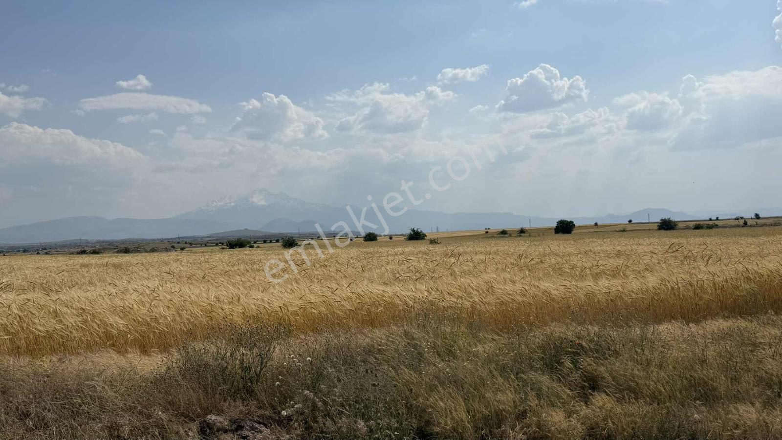 Ağırnas 'ta Satılık Dev Tarla - Görsel 7