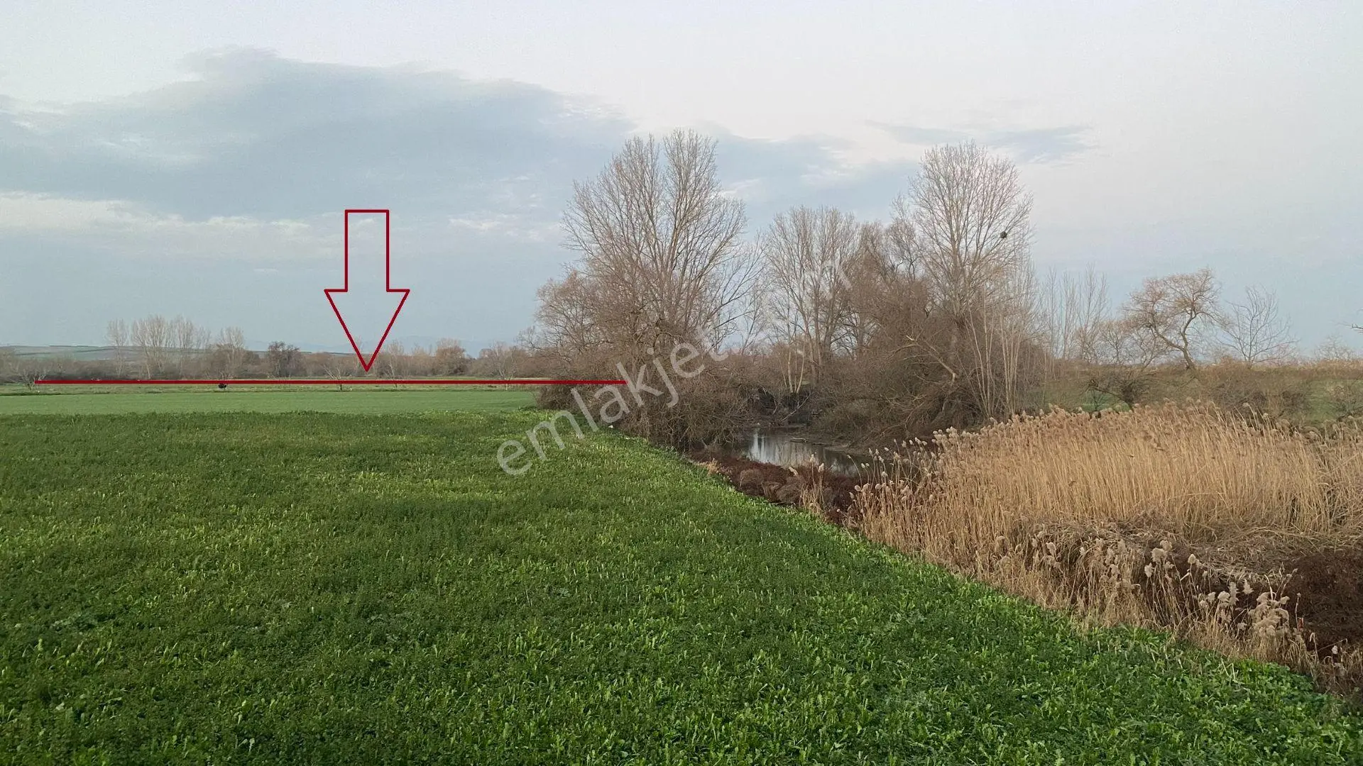 Kara Dere Kenarında, Yola Cepheli 980 M² Müstakil Tarla – Karacabey İsmetpaşa - Görsel 5