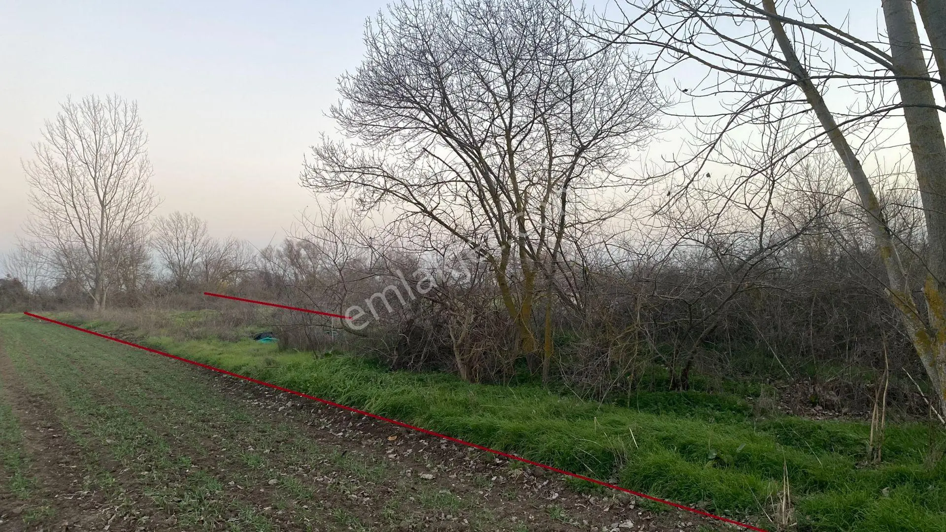 Kara Dere Kenarında, Yola Cepheli 980 M² Müstakil Tarla – Karacabey İsmetpaşa - Görsel 3