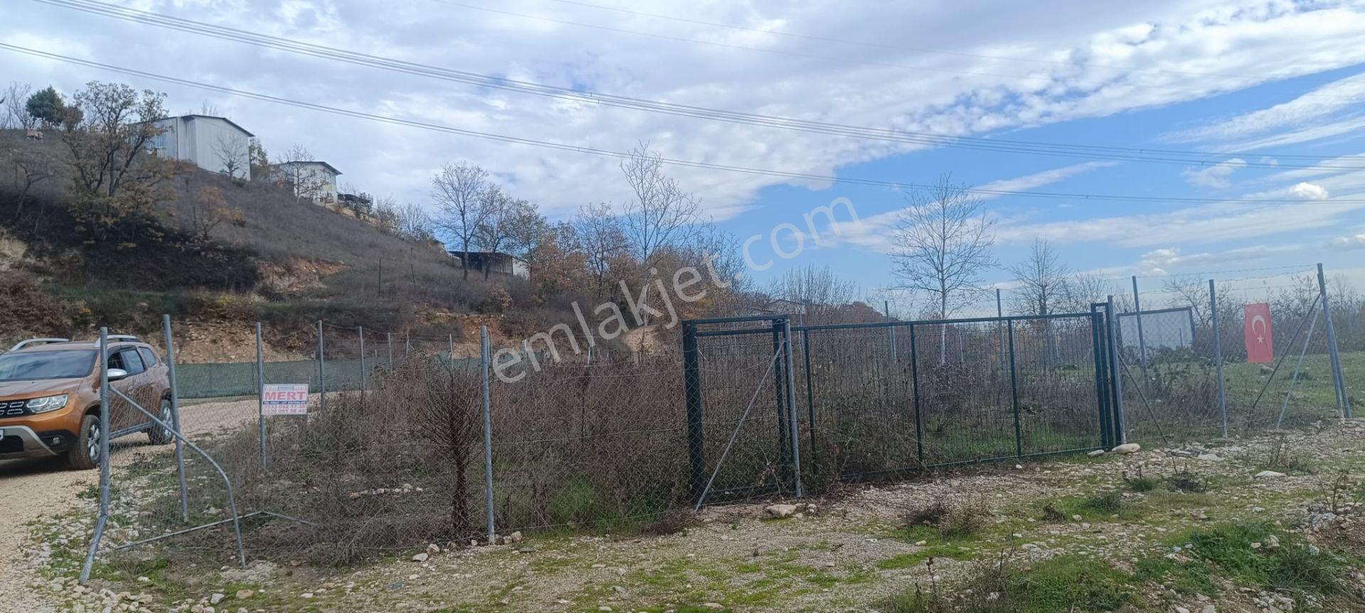 Bursa İnegöl Akıncılar Köyünde Satılık Bahçe - Görsel 3