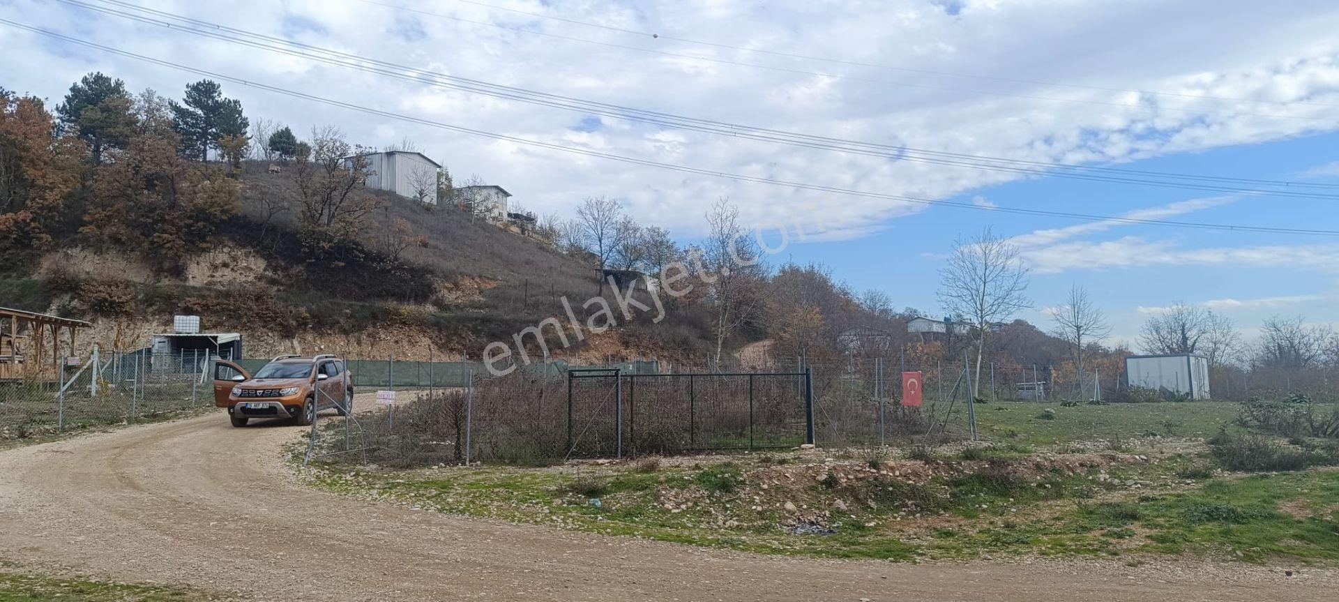 Bursa İnegöl Akıncılar Köyünde Satılık Bahçe - Görsel 4