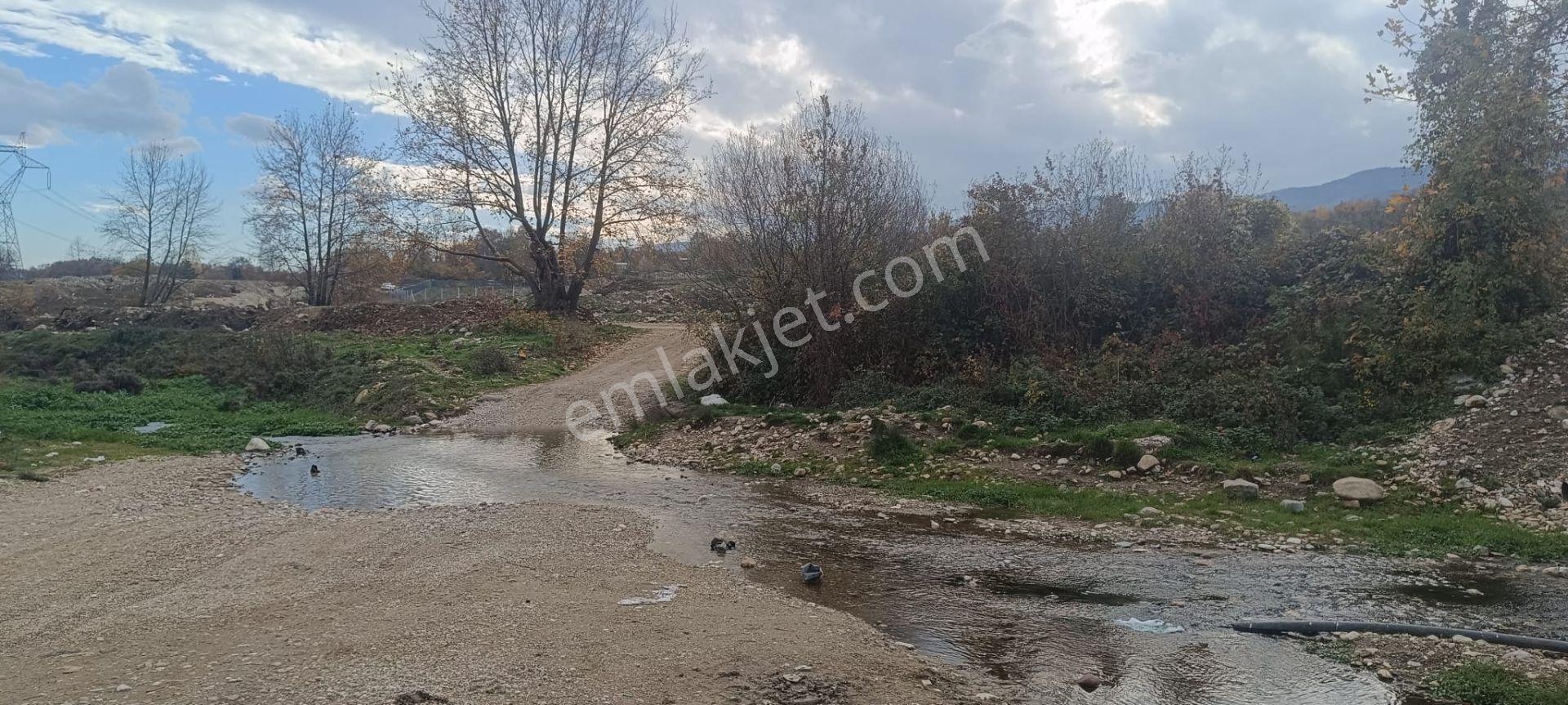 Bursa İnegöl Akıncılar Köyünde Satılık Bahçe - Görsel 7
