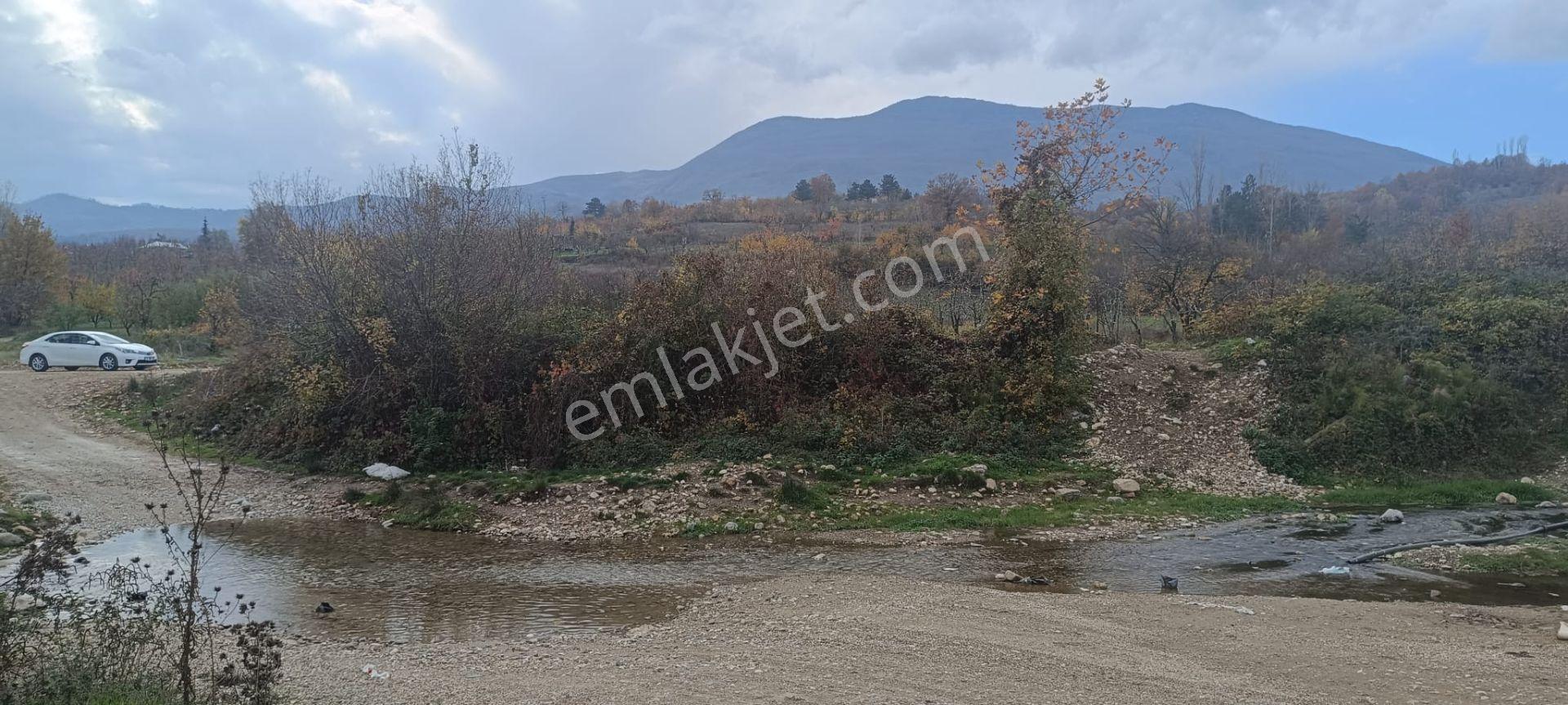 Bursa İnegöl Akıncılar Köyünde Satılık Bahçe - Görsel 5