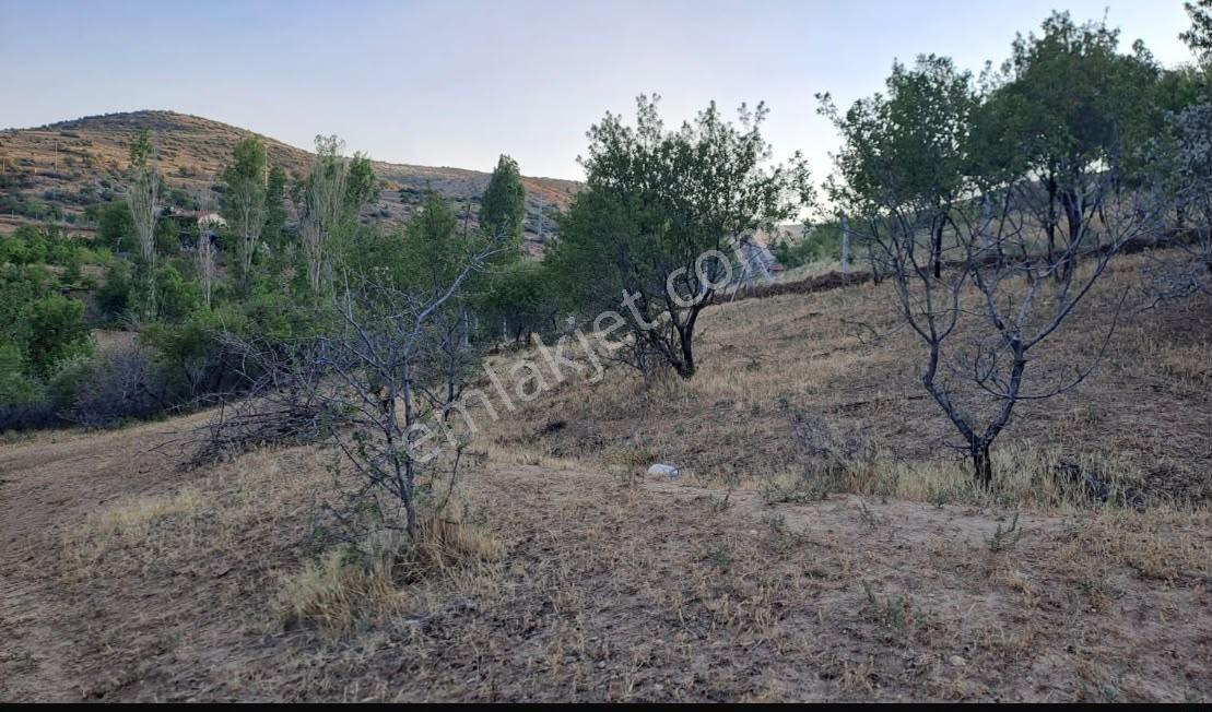 Emin Gyo'dan Tatköy'de Müstakil Tapulu Satılık 995 M2 Bahçe - Görsel 6