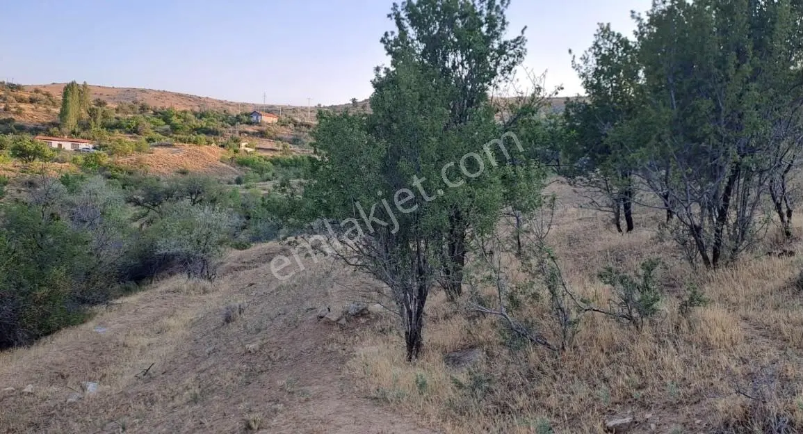 Emin Gyo'dan Tatköy'de Müstakil Tapulu Satılık 995 M2 Bahçe - Görsel 2