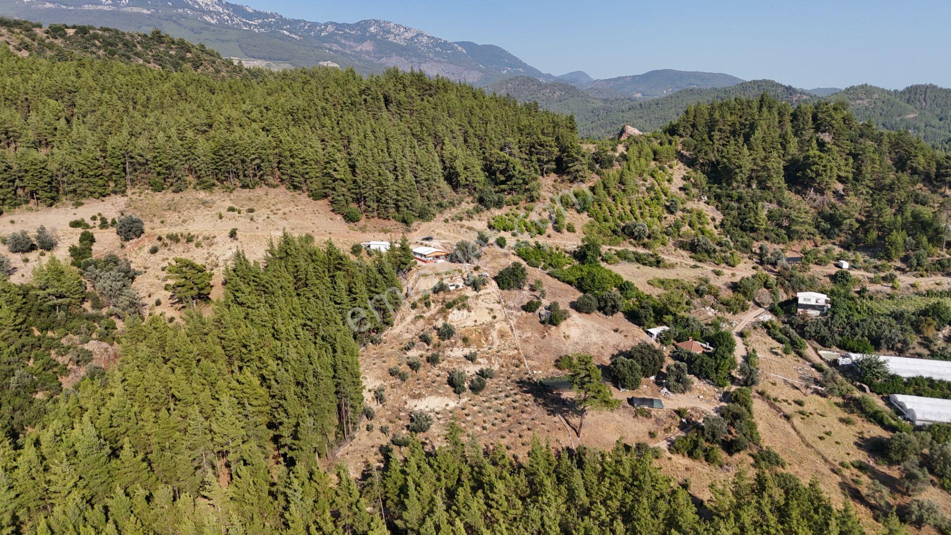 Antalya Kumluca'da 6.326 M² Satılık Arazi (evli & Zeytinlik) - Görsel 21