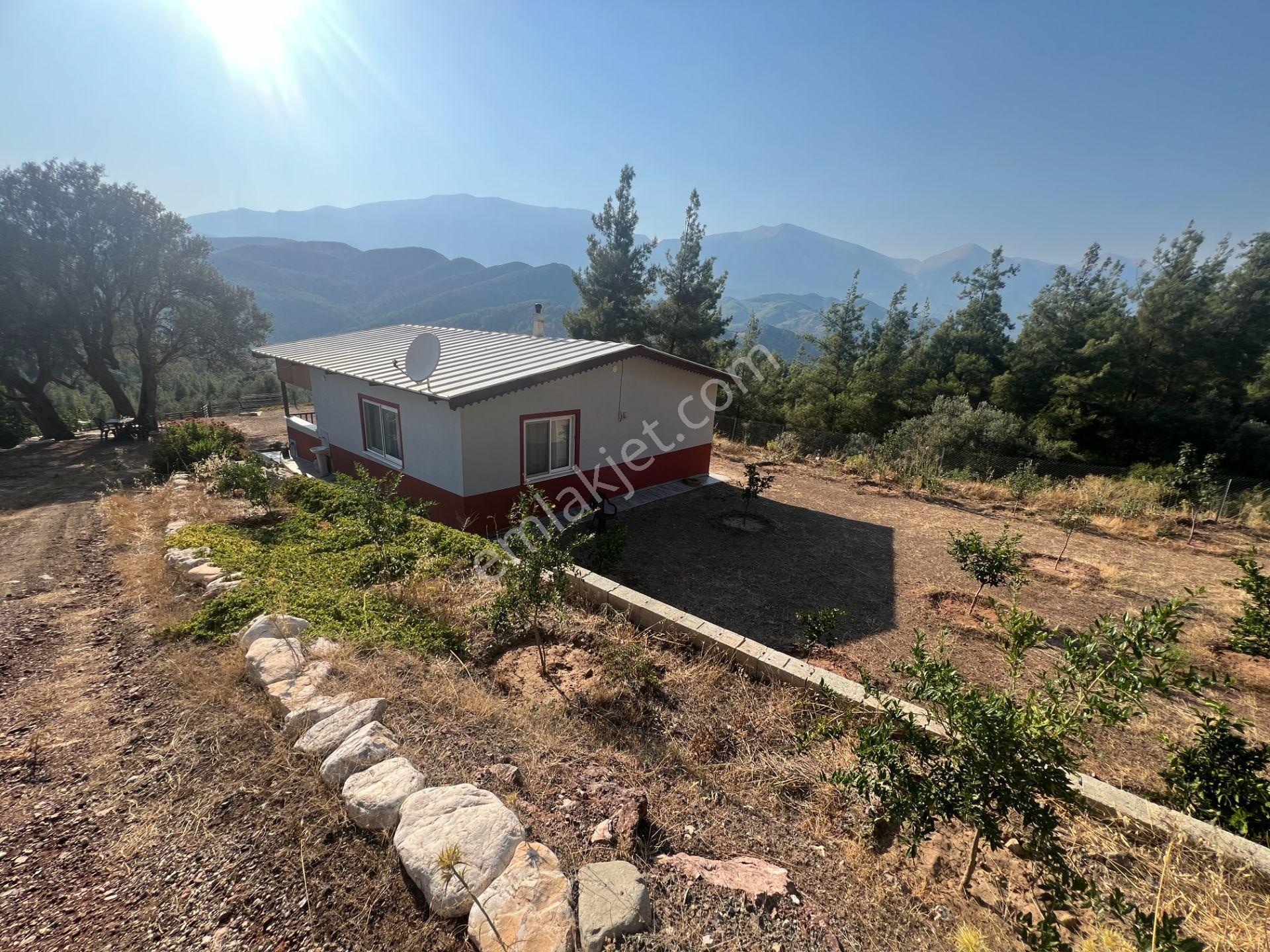 Antalya Kumluca'da 6.326 M² Satılık Arazi (evli & Zeytinlik) - Görsel 10