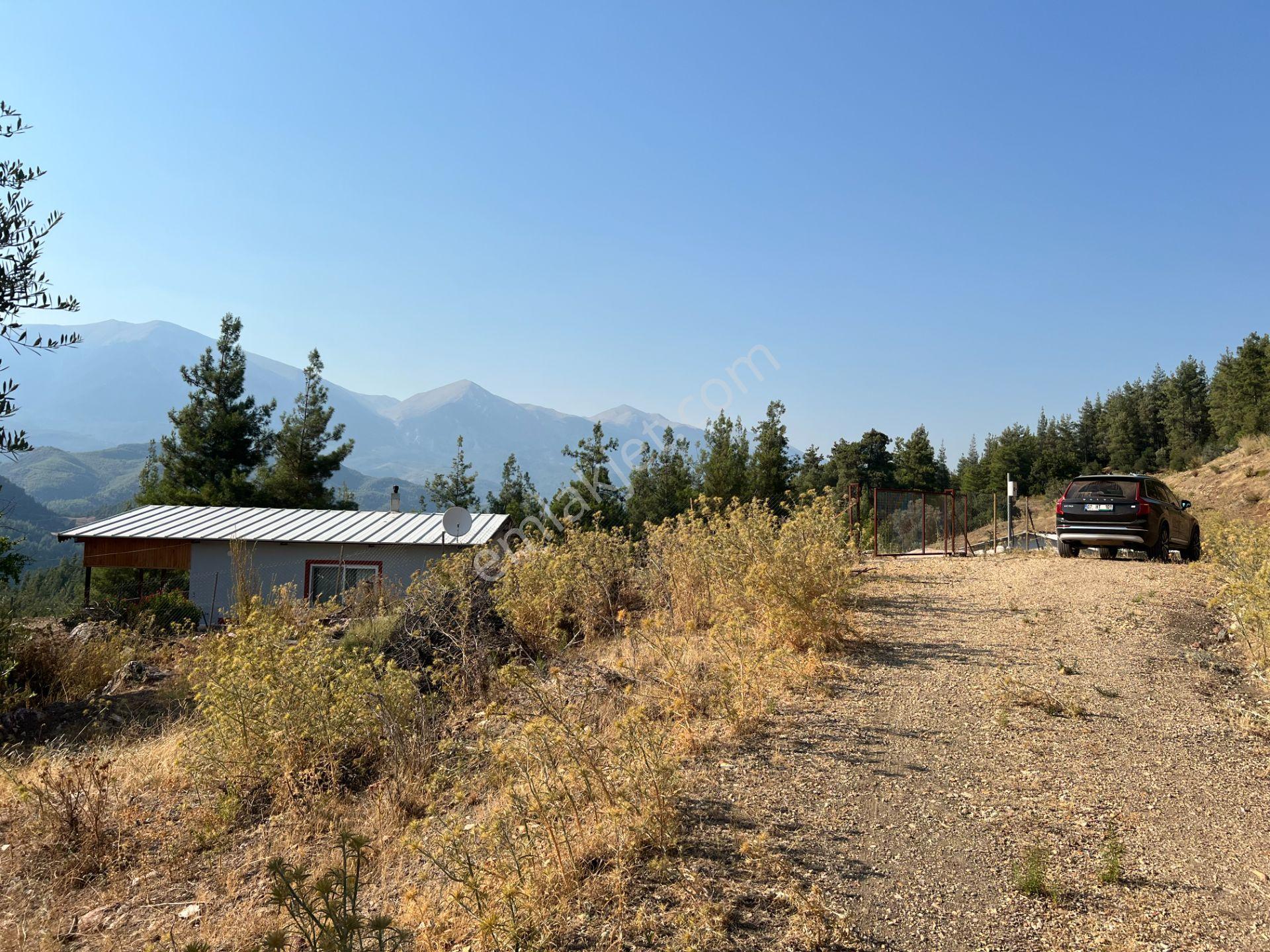 Antalya Kumluca'da 6.326 M² Satılık Arazi (evli & Zeytinlik) - Görsel 19