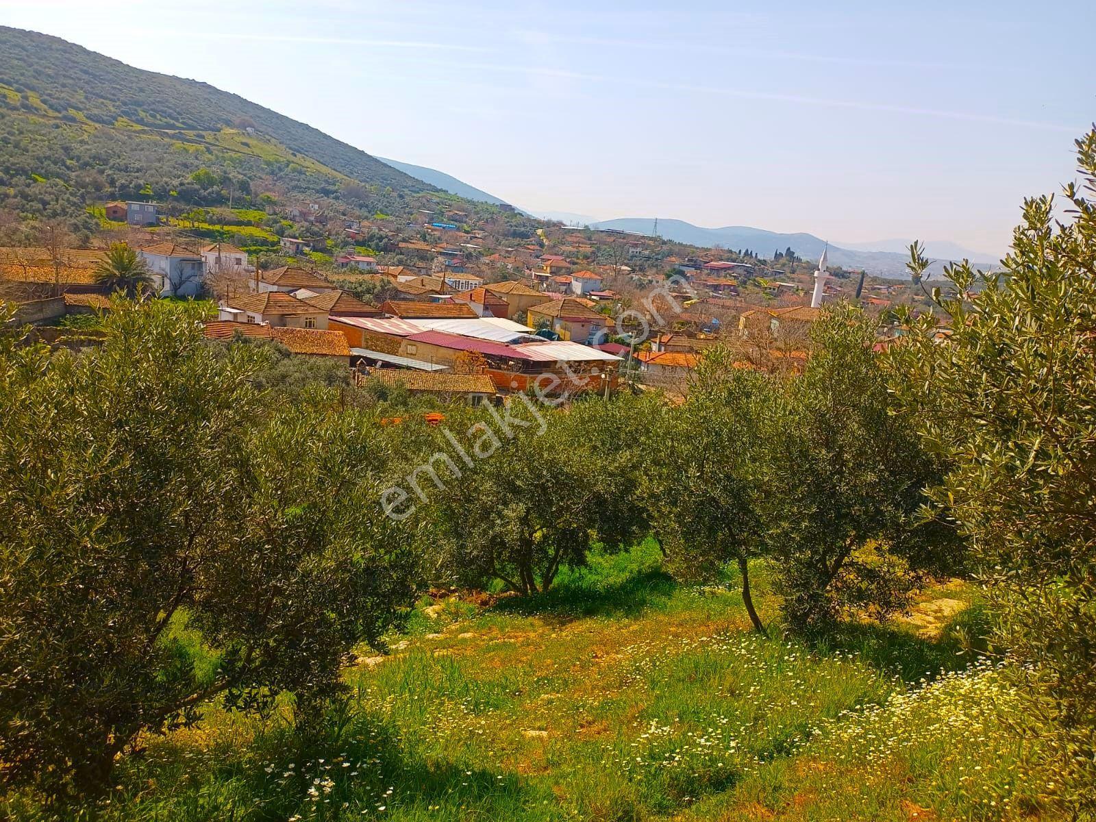 Eskioba Köyünde Satılık Arsalar - Görsel 21
