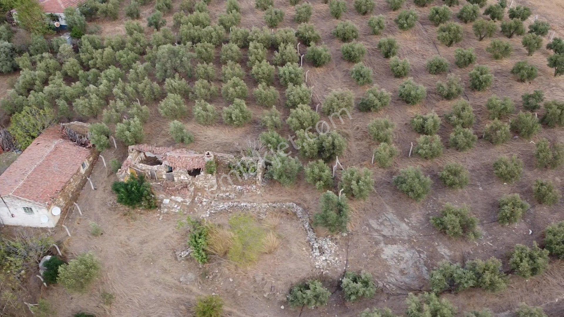 Eskioba Köyünde Satılık Arsalar - Görsel 32