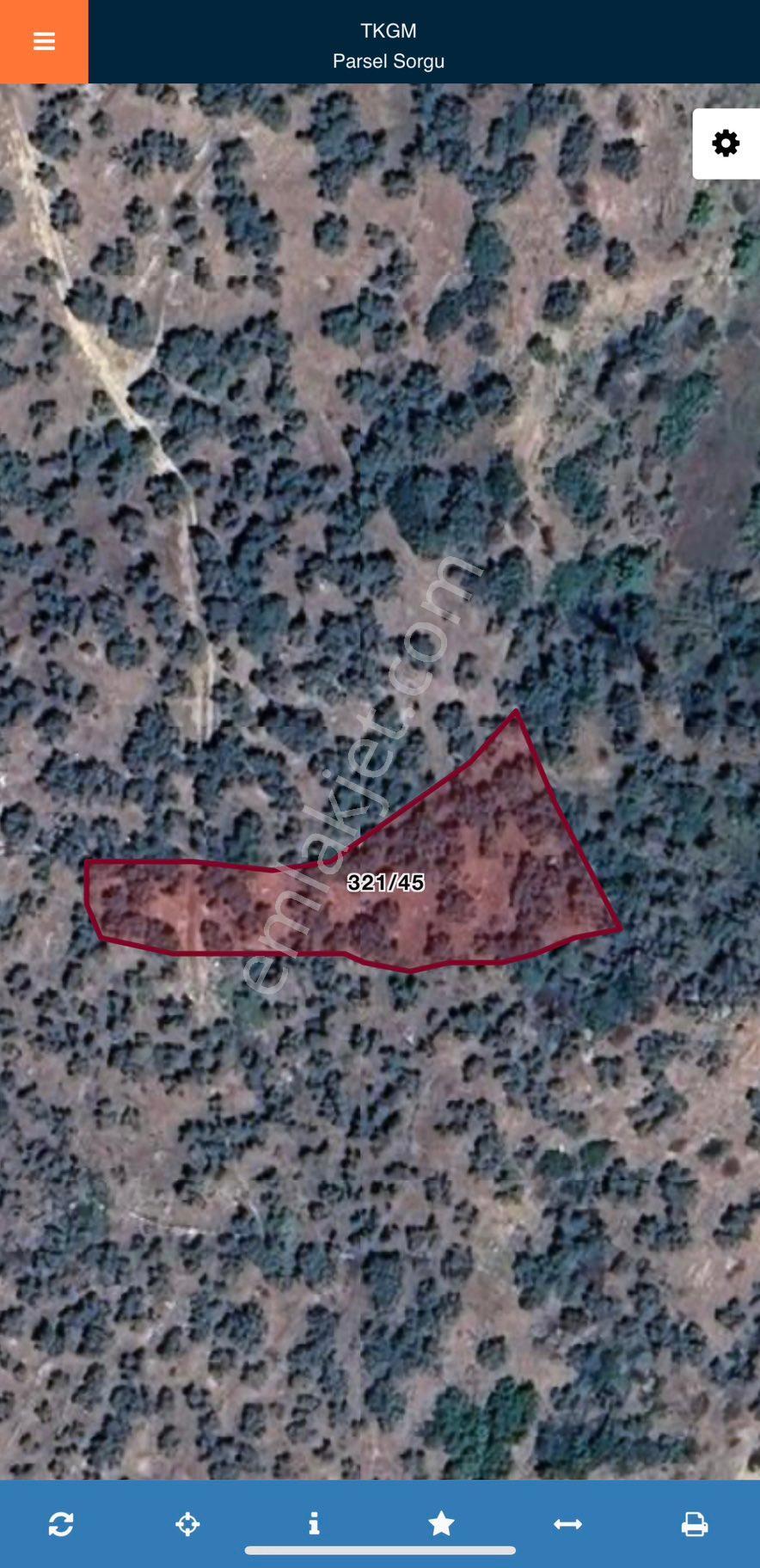 Aydın Yenipazar Yeni Mahallede Satılık Zeytinlik - Görsel 3