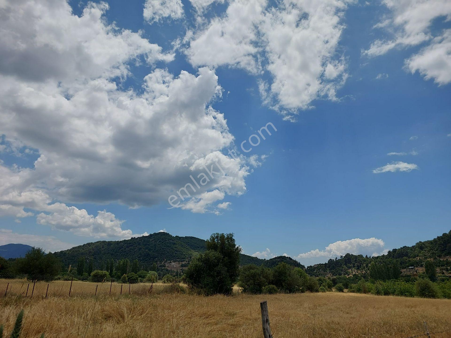 Fethiye Nif Te 1 300 M2 Kelepir Yayla Arazi Satılık - Görsel 5