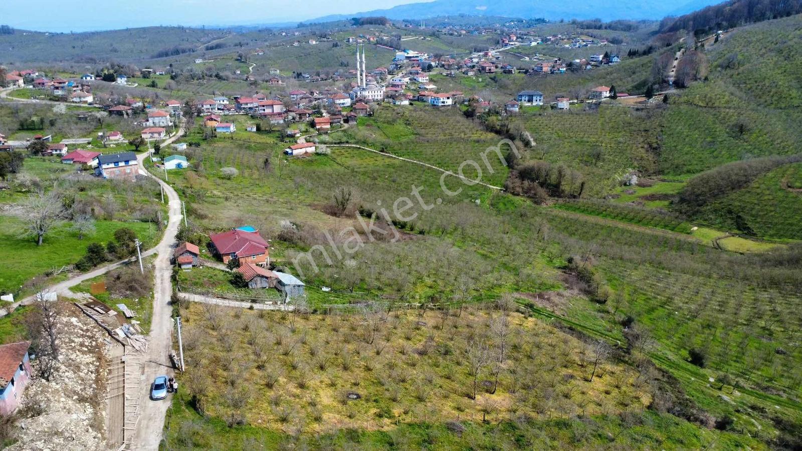 Yatırım Fırsatı, Krediye Uygun,müstakil Tapulu %40 İmarlı Arsa - Görsel 3