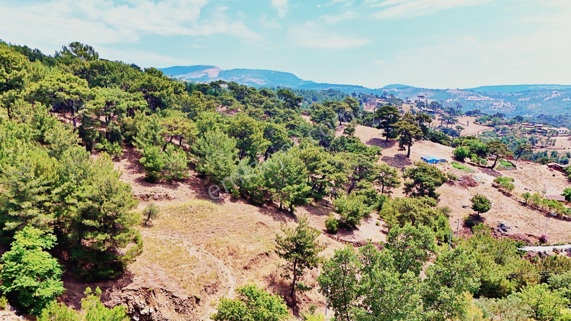 Havranda Gültaş Emlaktan Satılık 280m² Etrafı Tel Örgü İle Çevrili Bahçe - Görsel 14