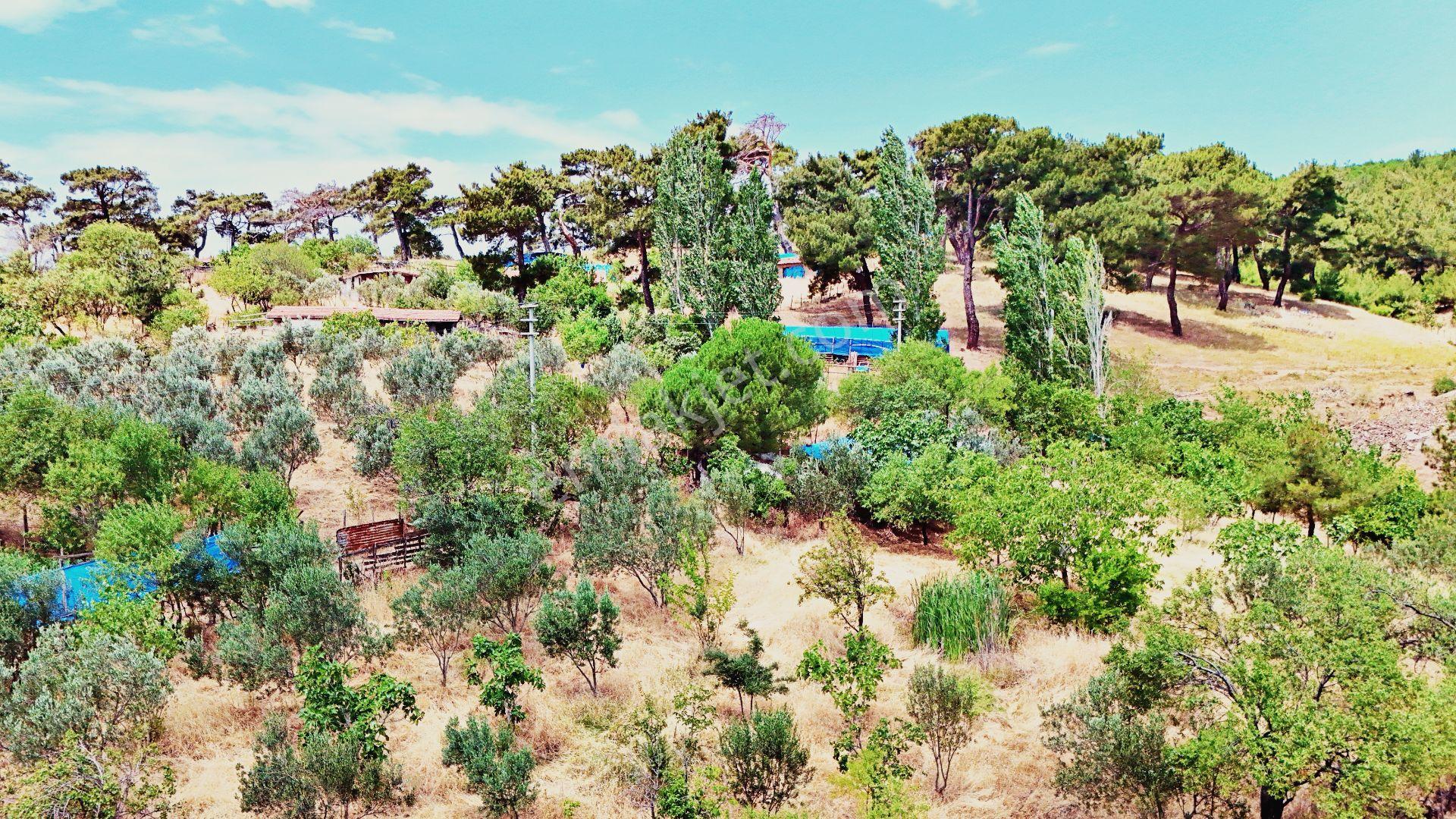 Havranda Gültaş Emlaktan Satılık 1.330m² Bahçe Vasfındaki Arazimiz Şimdi Satışta ! - Görsel 8